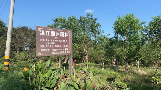 好福企·公益慈善25強(二) | 純真、鑫星耀、金橋包裝、銀龍藥業、蜀州園藝、申蓉興泓 以公益之心，點亮禮品花卉銷售之路