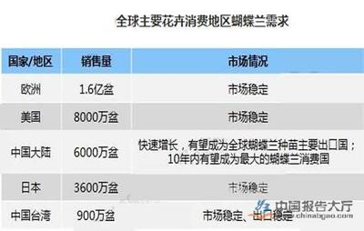 盆栽與禮品花卉行業 綠意盎然的商機與挑戰并存
