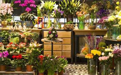 禮品花卉銷售 創(chuàng)業(yè)藍(lán)海中的芬芳機(jī)遇